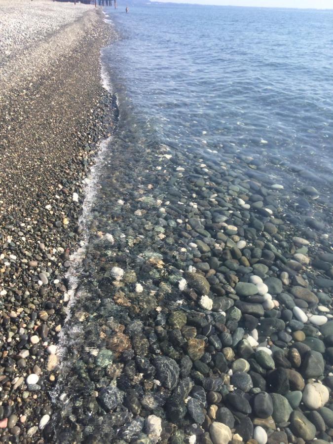 فندق سوخوميفي  Гостевой Дом Siella المظهر الخارجي الصورة