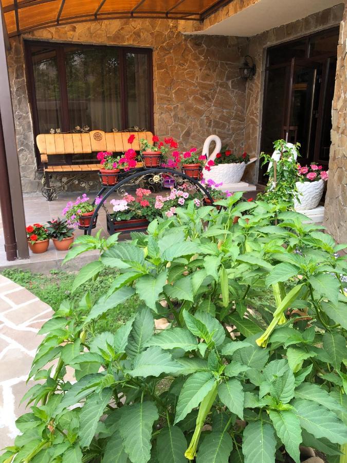 فندق سوخوميفي  Гостевой Дом Siella المظهر الخارجي الصورة